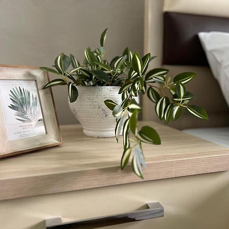 New Modern Tirana Apartment 外观 照片